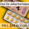 Kamagra Jelly Use 41